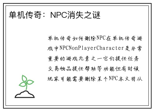 单机传奇：NPC消失之谜